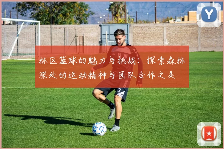 林区篮球的魅力与挑战：探索森林深处的运动精神与团队合作之美