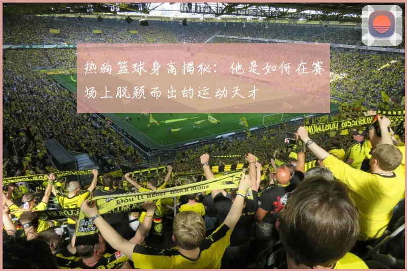 热狗篮球身高揭秘：他是如何在赛场上脱颖而出的运动天才