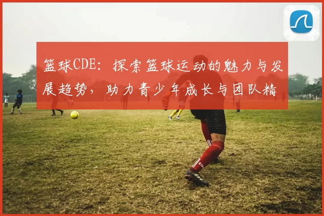 篮球CDE：探索篮球运动的魅力与发展趋势，助力青少年成长与团队精神培养