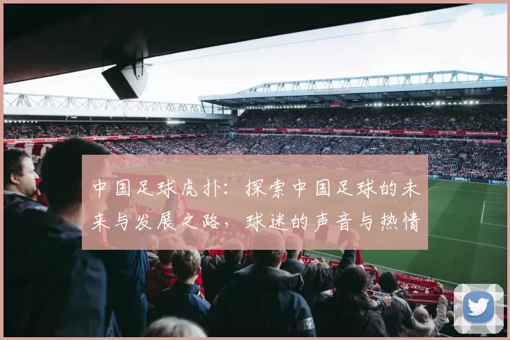 中国足球虎扑：探索中国足球的未来与发展之路，球迷的声音与热情交织