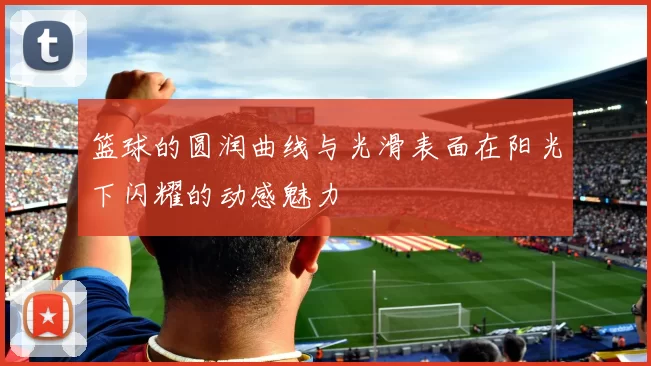 篮球的圆润曲线与光滑表面在阳光下闪耀的动感魅力