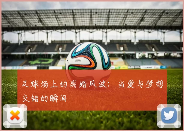 足球场上的离婚风波：当爱与梦想交错的瞬间