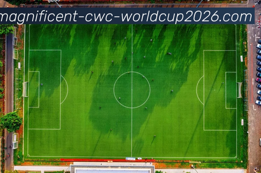 指定下注入口APP 高清赛事图